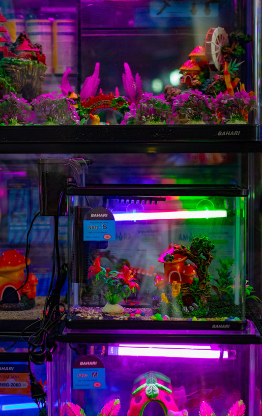 Crafting Aquatic Elegance: A Step-by-Step Guide to Aquascaping with Glam Tankz