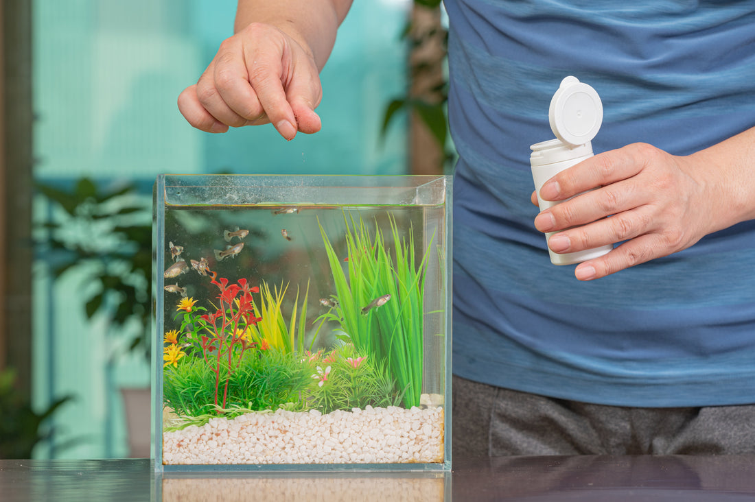 Crafting Aquatic Splendor: The Ultimate Guide to Essential Aquascaping Tools