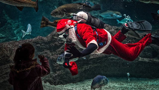 Decorating Your Aquarium for Christmas: A Festive Guide