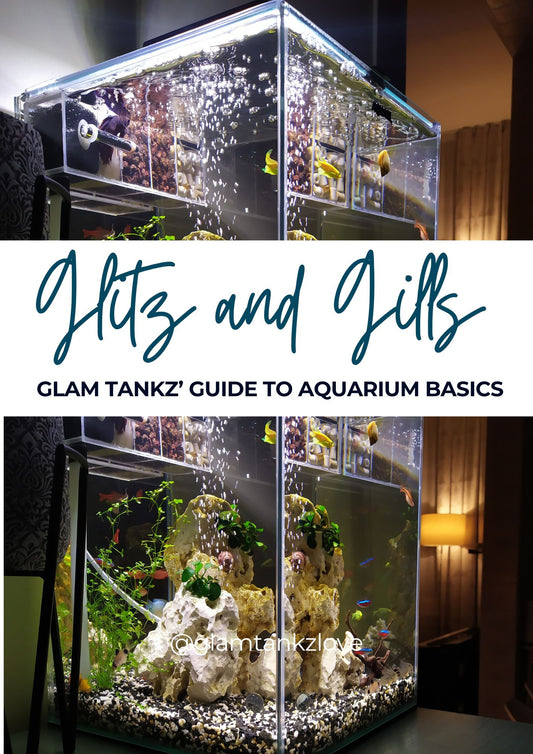 E-BOOK-Glitz and Gills: Glam Tankz’ Guide to Aquarium Basics